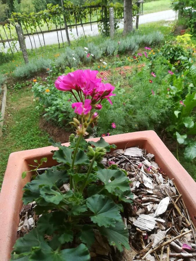 Ruralna Kuca Za Odmor Pozojova Hiza - Rural Holiday House Lopatinec Esterno foto