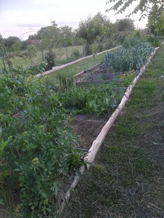 Ruralna Kuca Za Odmor Pozojova Hiza - Rural Holiday House Lopatinec Esterno foto