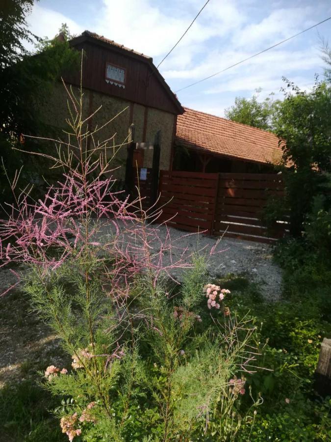 Ruralna Kuca Za Odmor Pozojova Hiza - Rural Holiday House Lopatinec Esterno foto