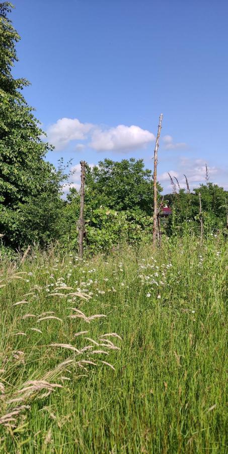 Ruralna Kuca Za Odmor Pozojova Hiza - Rural Holiday House Lopatinec Esterno foto