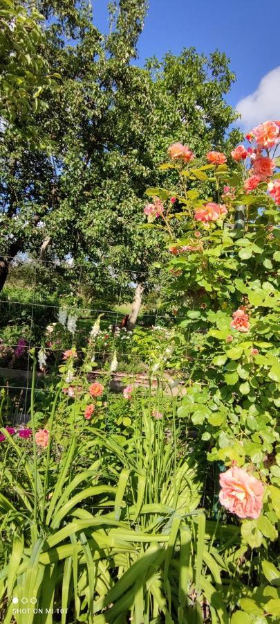 Ruralna Kuca Za Odmor Pozojova Hiza - Rural Holiday House Lopatinec Esterno foto